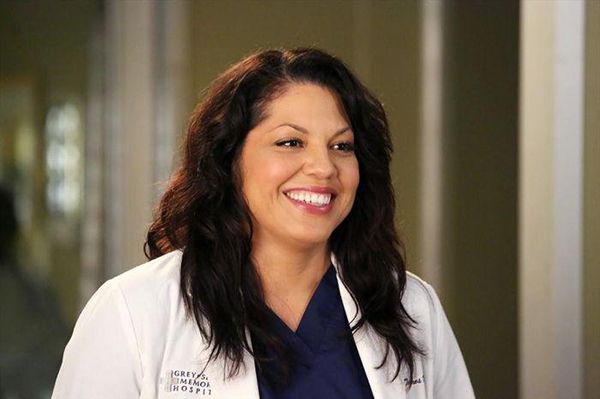 Grey's Anatomy - Die jungen Ärzte : Bild Sara Ramirez