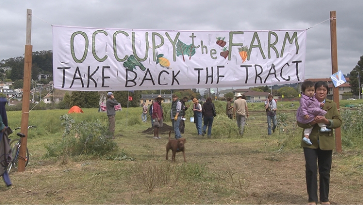Occupy the Farm : Bild