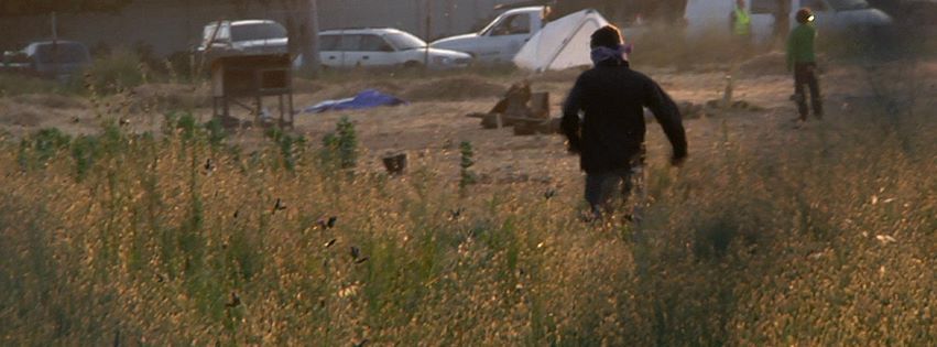 Occupy the Farm : Bild