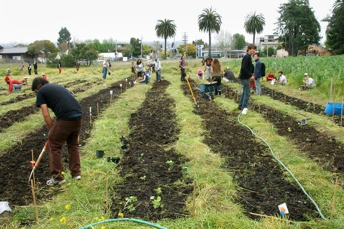 Occupy the Farm : Bild