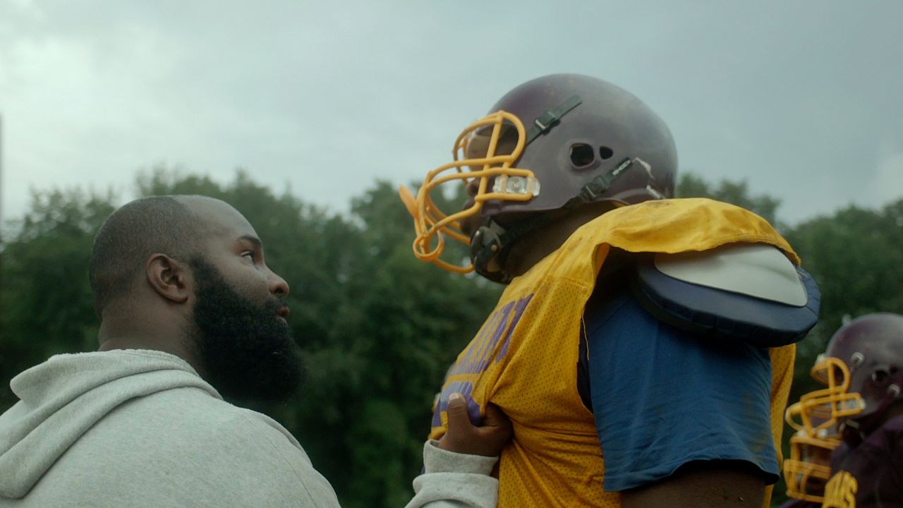 We Could Be King : Bild