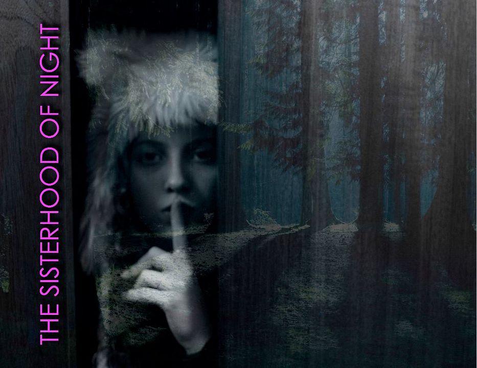 The Sisterhood of Night : Bild