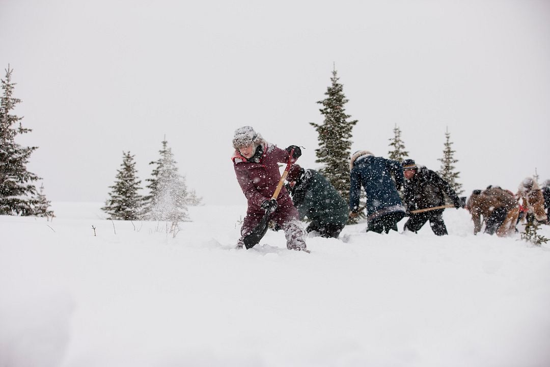 Ruf der Pferde - Ein Mädchen folgt seinem Herzen : Bild MacKenzie Porter