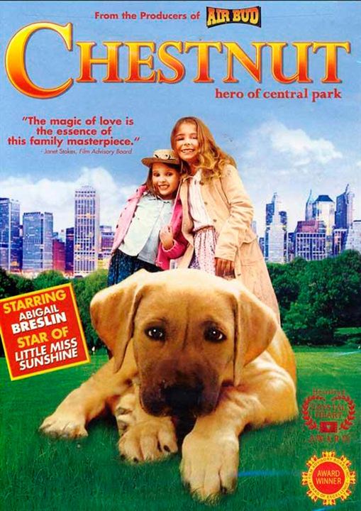 Chestnut - Der Held vom Central Park : Kinoposter