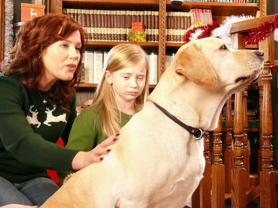 Ein Hund rettet den Weihnachtsurlaub : Bild Elisa Donovan, Sierra McCormick