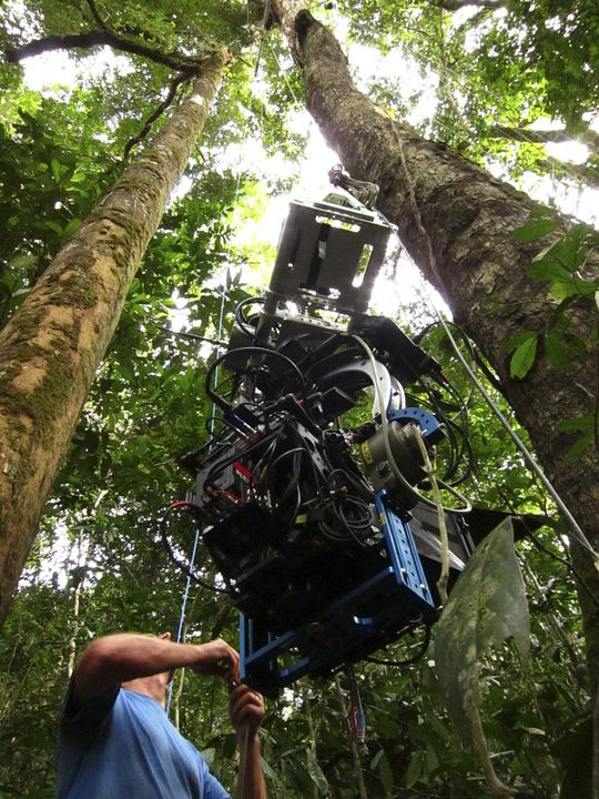 Afrika - Das magische Königreich : Bild