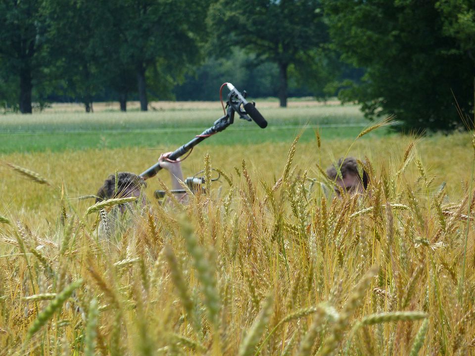 Regards sur nos assiettes : Bild