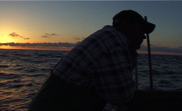 Rabo de Peixe : Bild