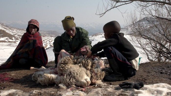 Coming of Age : Bild