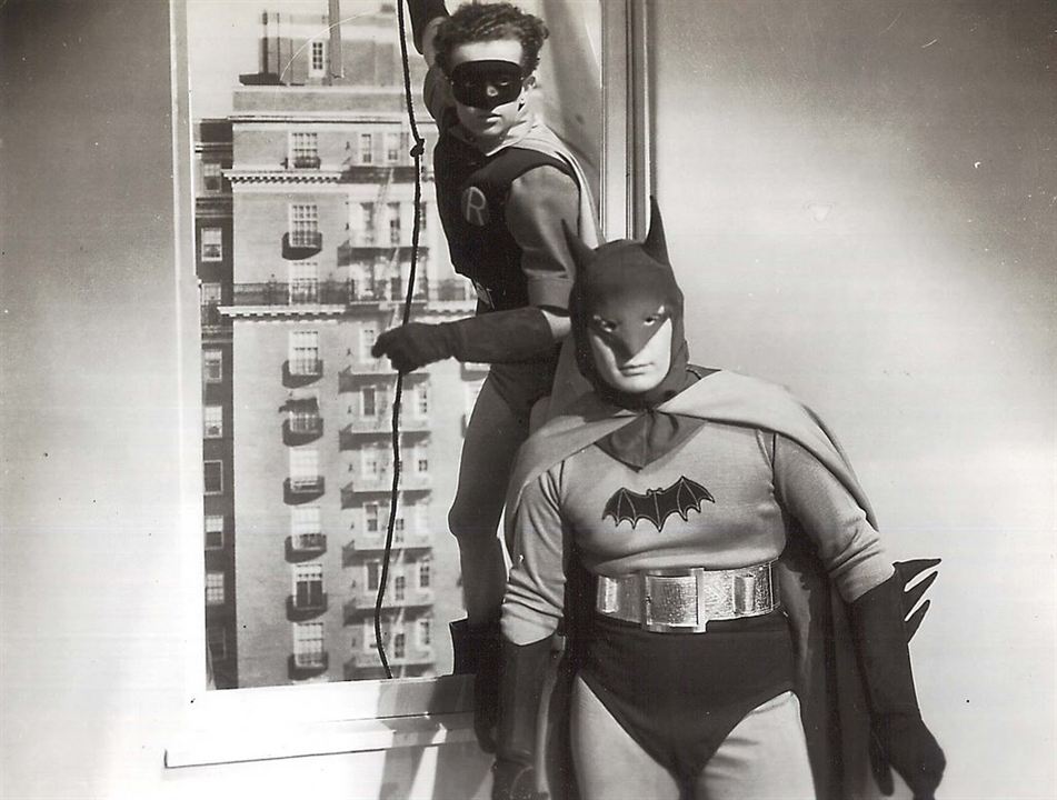 Batman und Robin : Bild
