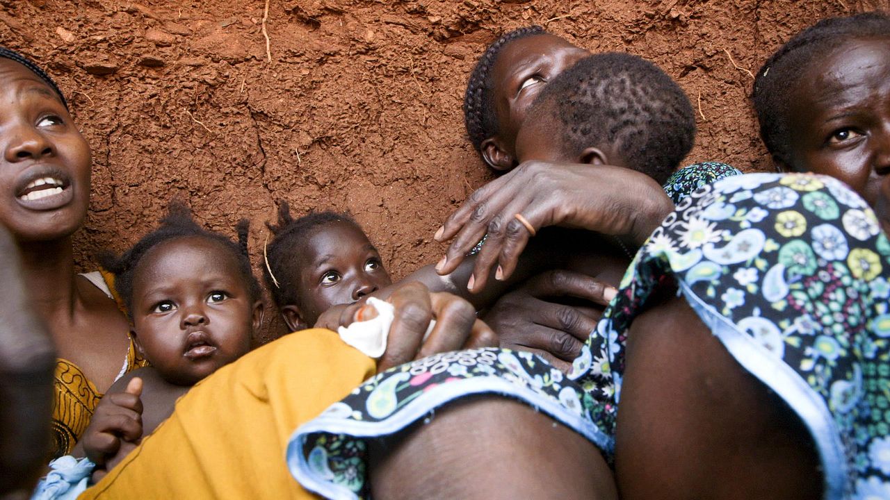 Madina's Dream : Bild