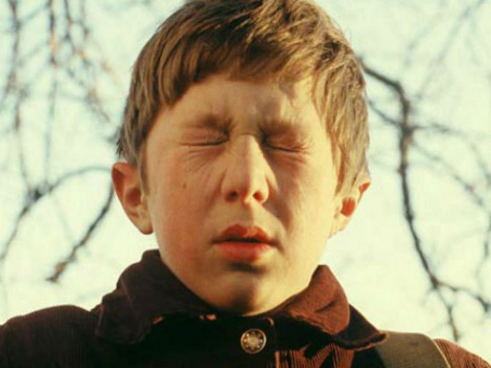 Das andere Ufer : Bild