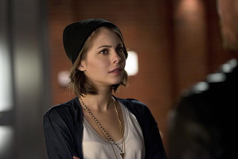 Arrow : Bild Willa Holland