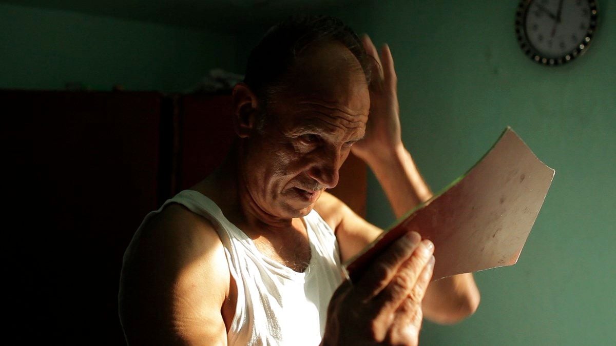 Der Wald ist wie die Berge : Bild