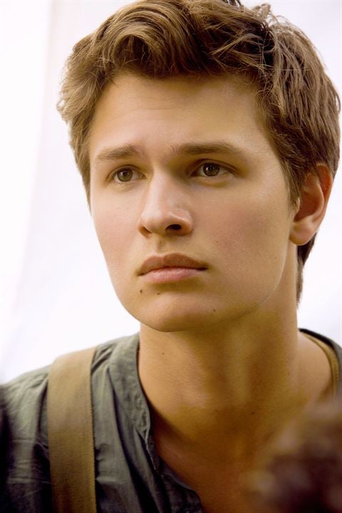 Die Bestimmung - Insurgent : Bild Ansel Elgort