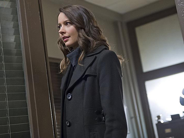 Person Of Interest : Bild Amy Acker