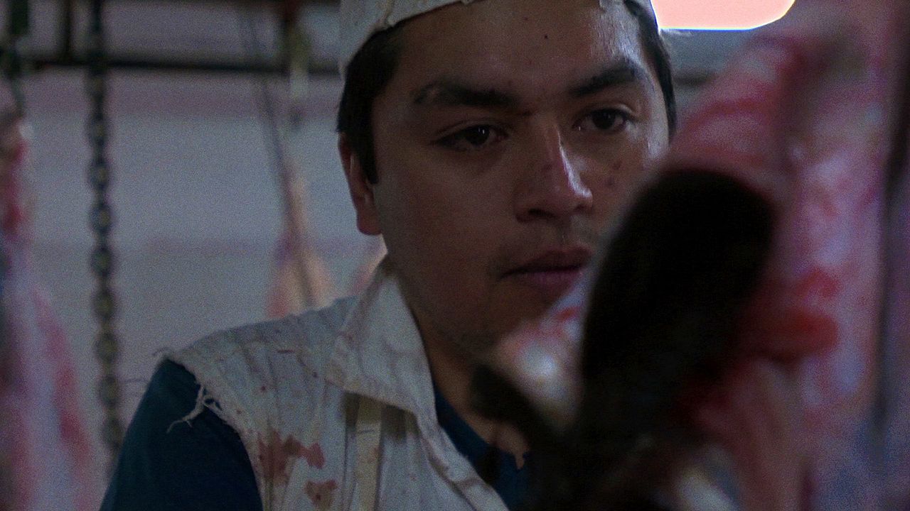 Sangre de mi sangre : Bild