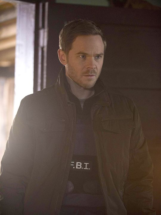 Bild Shawn Ashmore