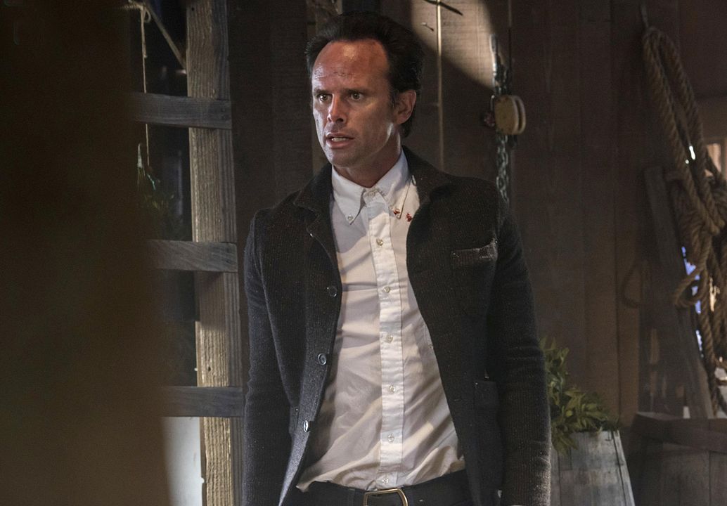 Bild Walton Goggins