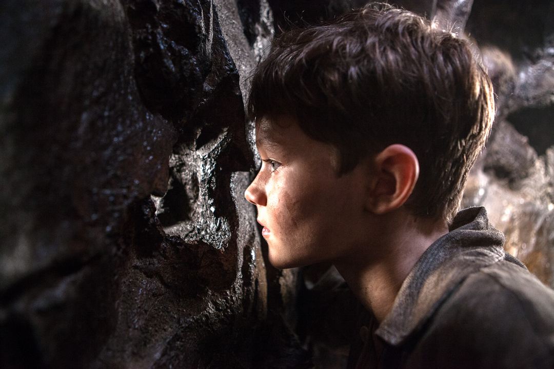 Bild Levi Miller (II)