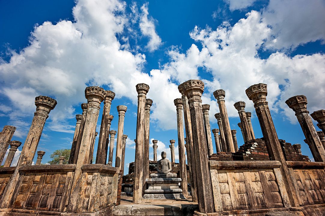 Im Reich der Affen : Bild