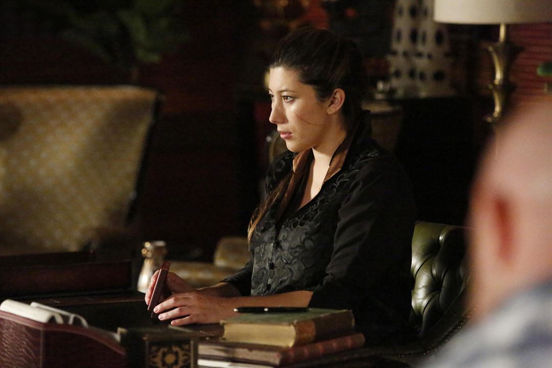 Marvel's Agents Of S.H.I.E.L.D. : Bild Dichen Lachman