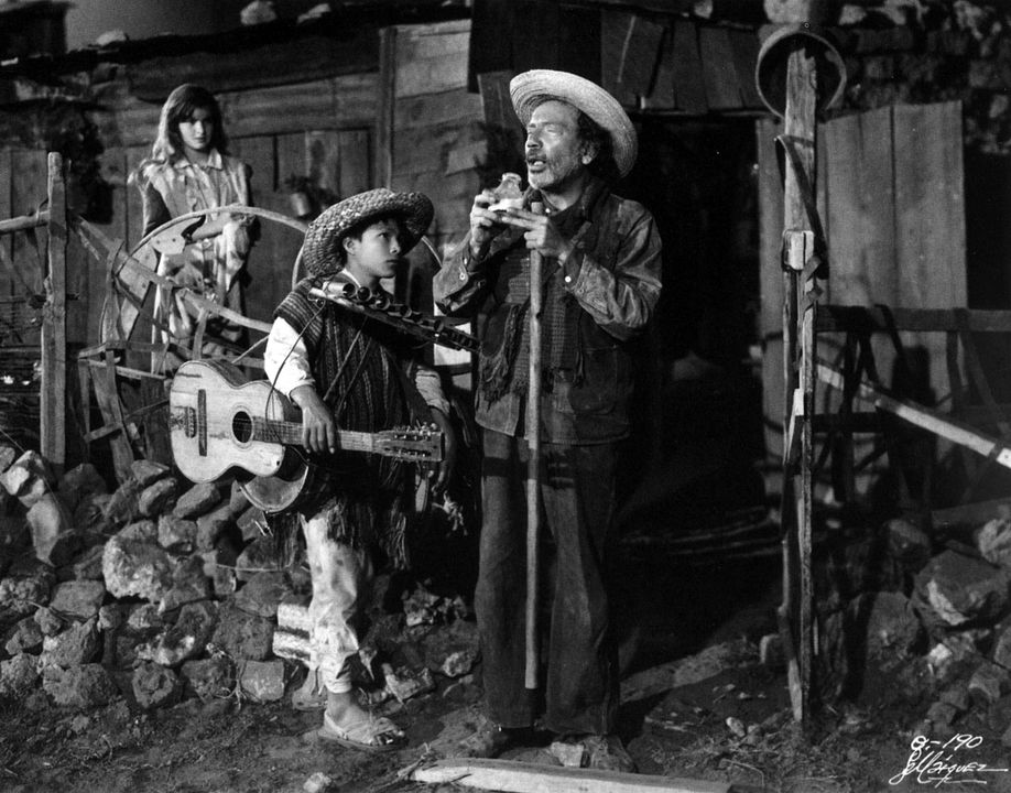 Die Vergessenen : Bild