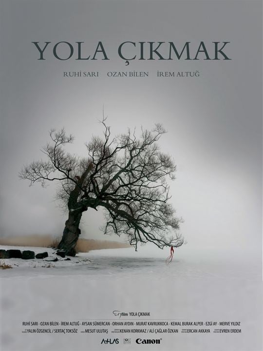 Yola Çıkmak : Kinoposter