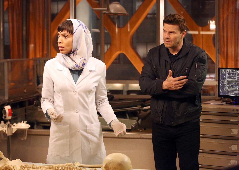 Bones - Die Knochenjägerin : Bild Tamara Taylor, David Boreanaz
