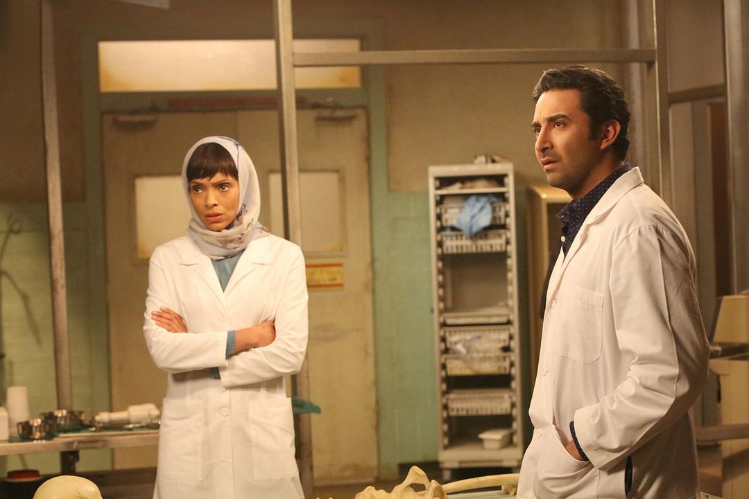Bones - Die Knochenjägerin : Bild Pej Vahdat, Tamara Taylor