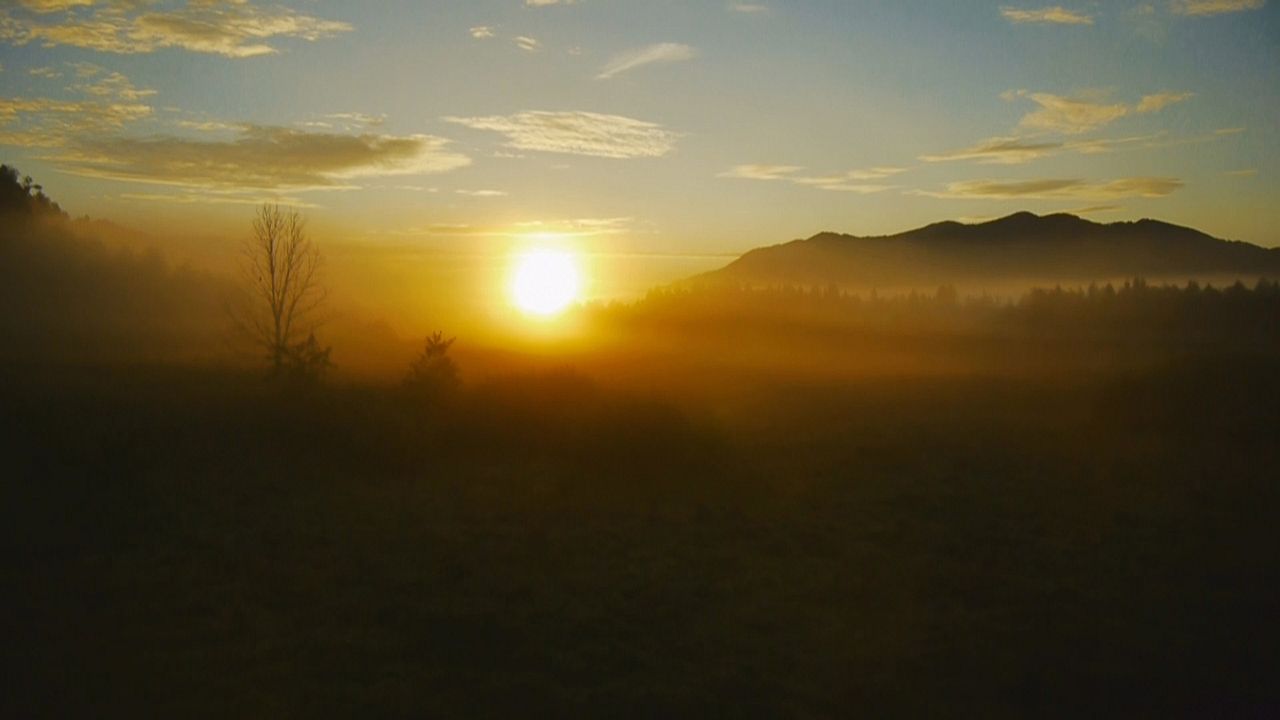 Wunder der Lebenskraft - Eine Reise zur Heilung der Seele : Bild