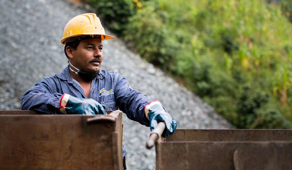 The Legend of the Palme d'Or : Bild