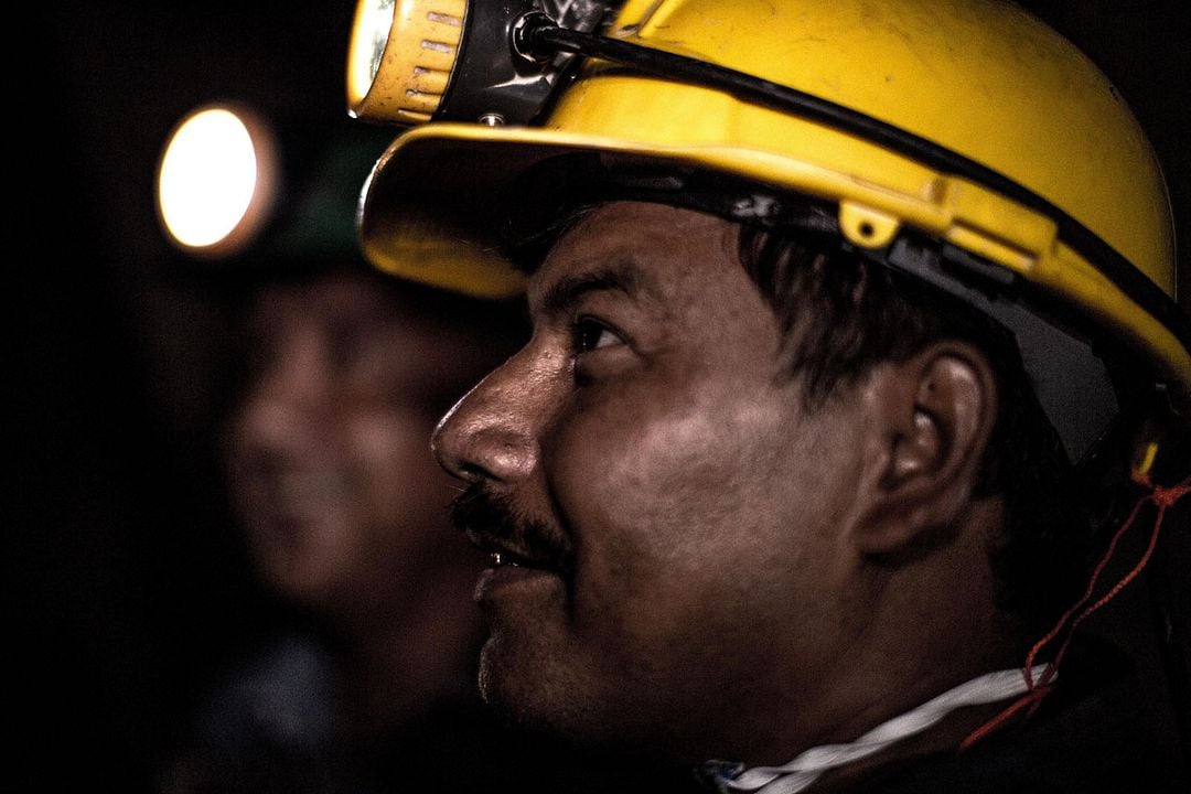 The Legend of the Palme d'Or : Bild