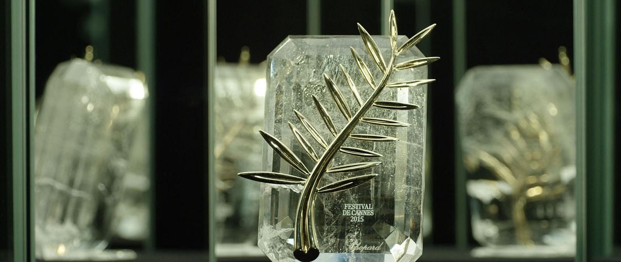 The Legend of the Palme d'Or : Bild