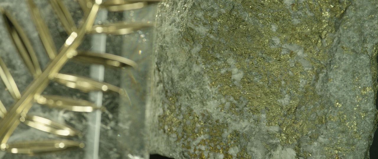 The Legend of the Palme d'Or : Bild