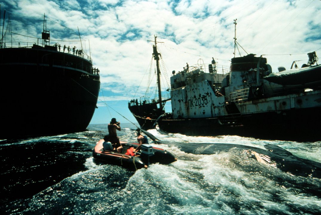 How To Change The World : Bild