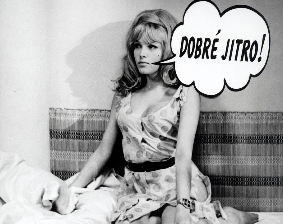 Wer will Jessie umbringen? : Bild