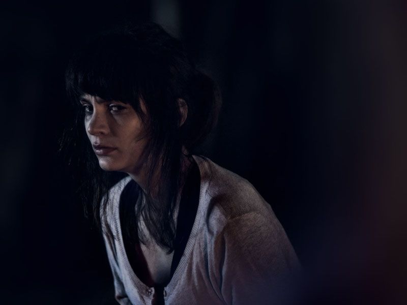 Lemon Tree Passage : Bild