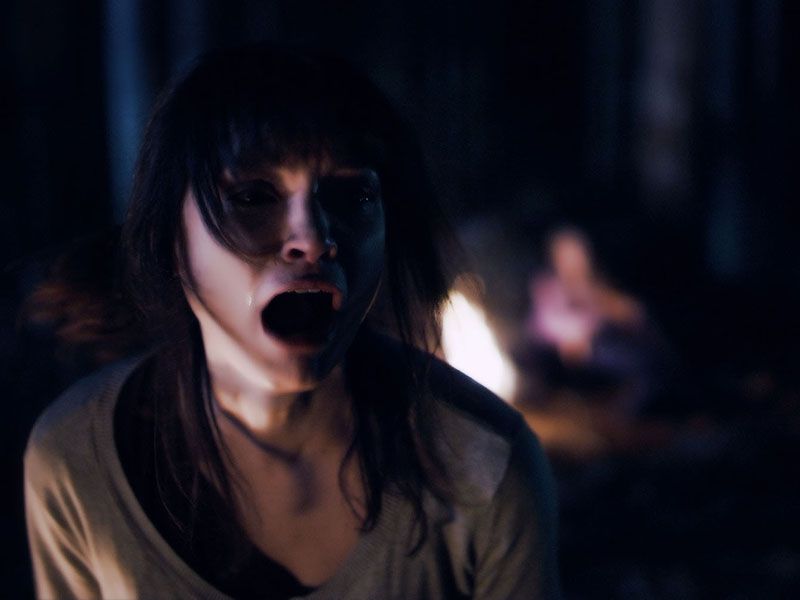 Lemon Tree Passage : Bild