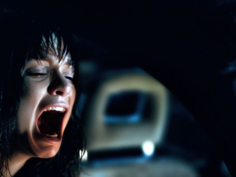 Lemon Tree Passage : Bild