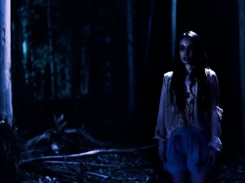 Lemon Tree Passage : Bild