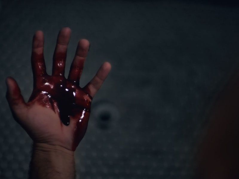 Lemon Tree Passage : Bild