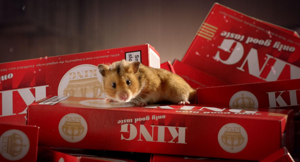 Rettet Raffi! : Bild