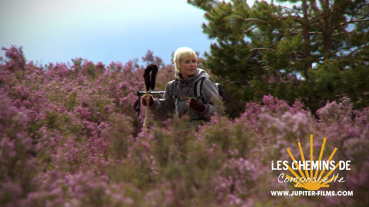 Les Chemins de compostelle - 1700 km sur la voie des étoiles : Bild