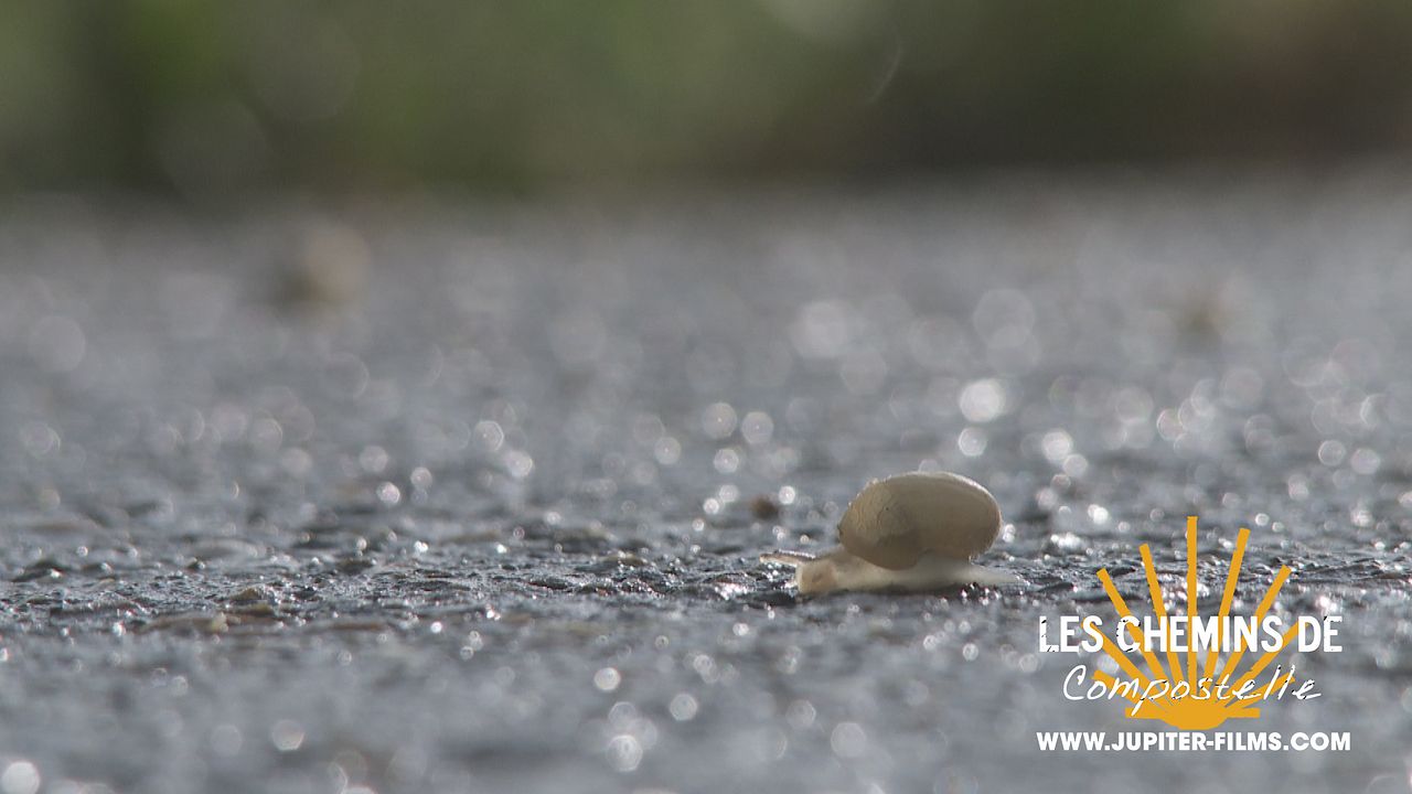 Les Chemins de compostelle - 1700 km sur la voie des étoiles : Bild