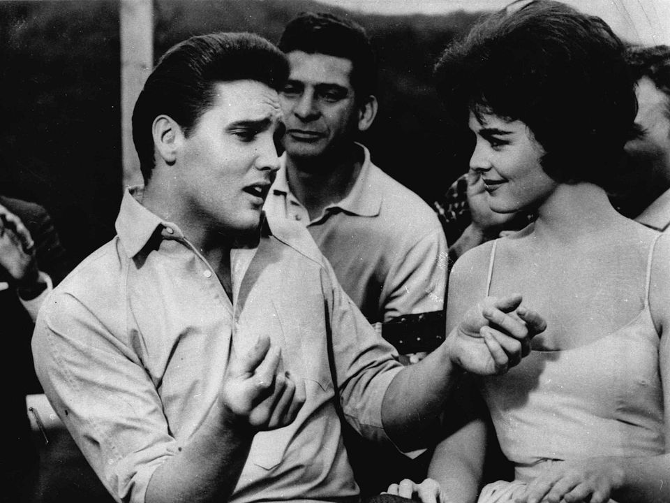 Kid Galahad - Harte Fäuste, heiße Liebe : Bild