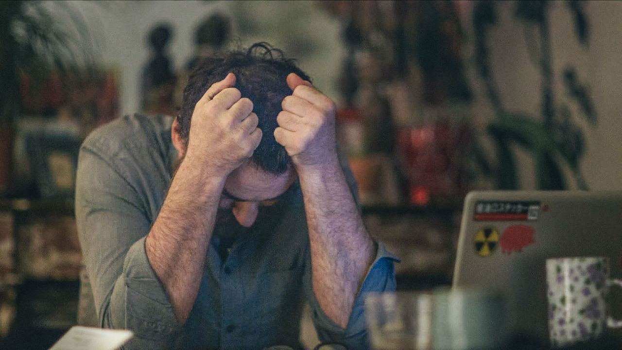 Olmo And The Seagull : Bild