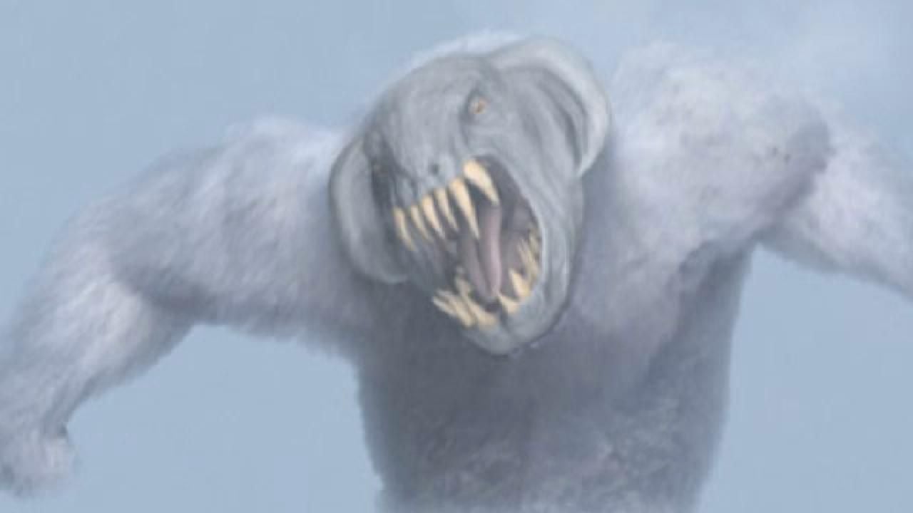 Rage Of The Yeti : Bild