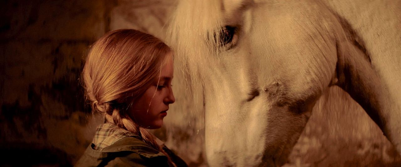 Die Legende der weißen Pferde : Bild Lucy Morton