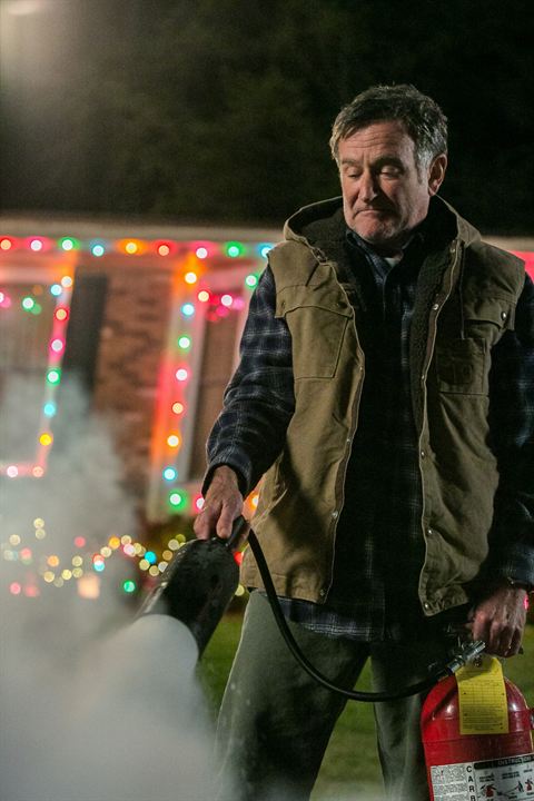 Furchtbar fröhliche Weihnachten : Bild Robin Williams